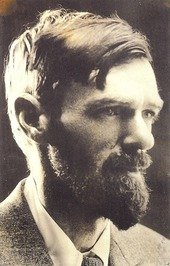 D.H. Lawrence quote