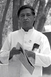 César Chávez quote